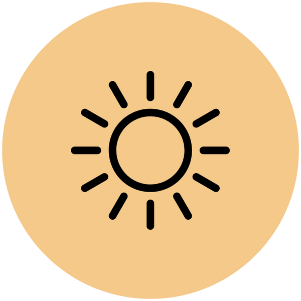 Sun Protection